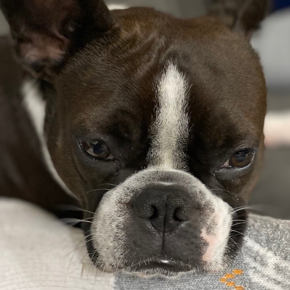 Meet your Posher, Heather - Picture 1 of 1